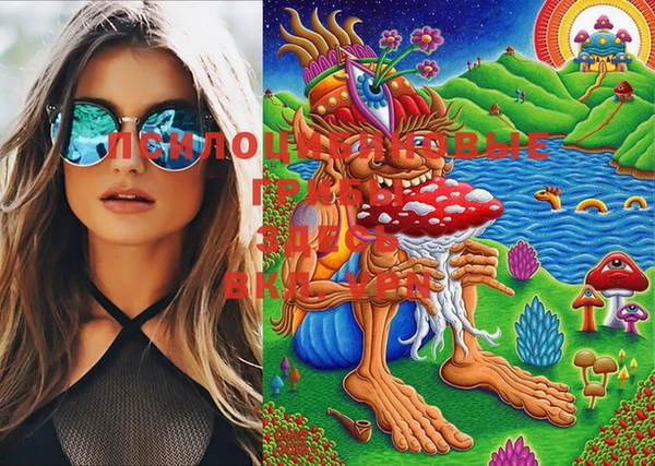 шишки Сатка