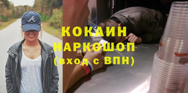 шишки Сатка