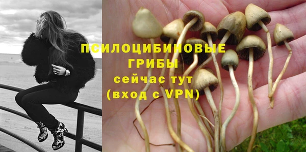 СК Аркадак