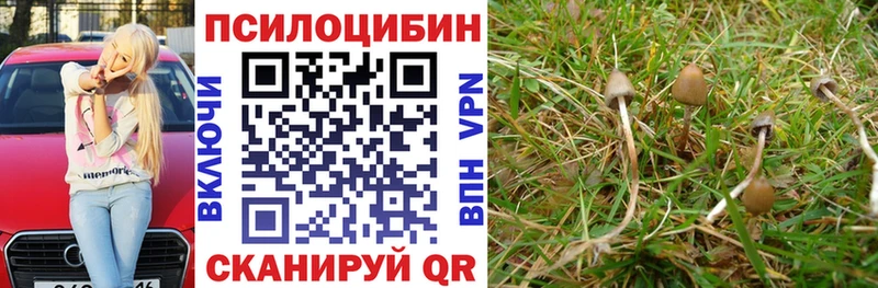 нарко площадка состав Тамбов Псилоцибиновые грибы MAGIC MUSHROOMS